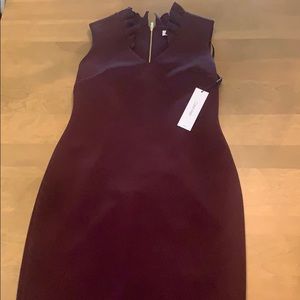 NWT - Calvin Klein Plum dress
